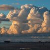 30.05.-06.06.2026 | Ewige Weite - Wattenmeer – Bild 7