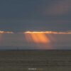 30.05.-06.06.2026 | Ewige Weite - Wattenmeer – Bild 8