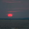 30.05.-06.06.2026 | Ewige Weite - Wattenmeer – Bild 5