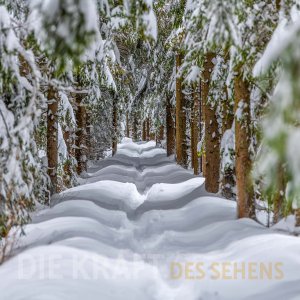 Lebensweg 01
