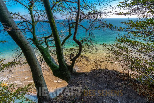 Rügen #07
