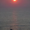 07.06.-11.06.2026 - Insel Helgoland | Die Galapagos der Nordsee – Bild 9