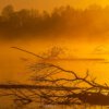 22.05. bis 29.05.2026 | Chiemgau - Malerische Seenlandschaft – Bild 8