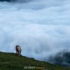 22.07. - 25.07.2025 | Dolomiten - Berge wie Diamanten – Bild 6