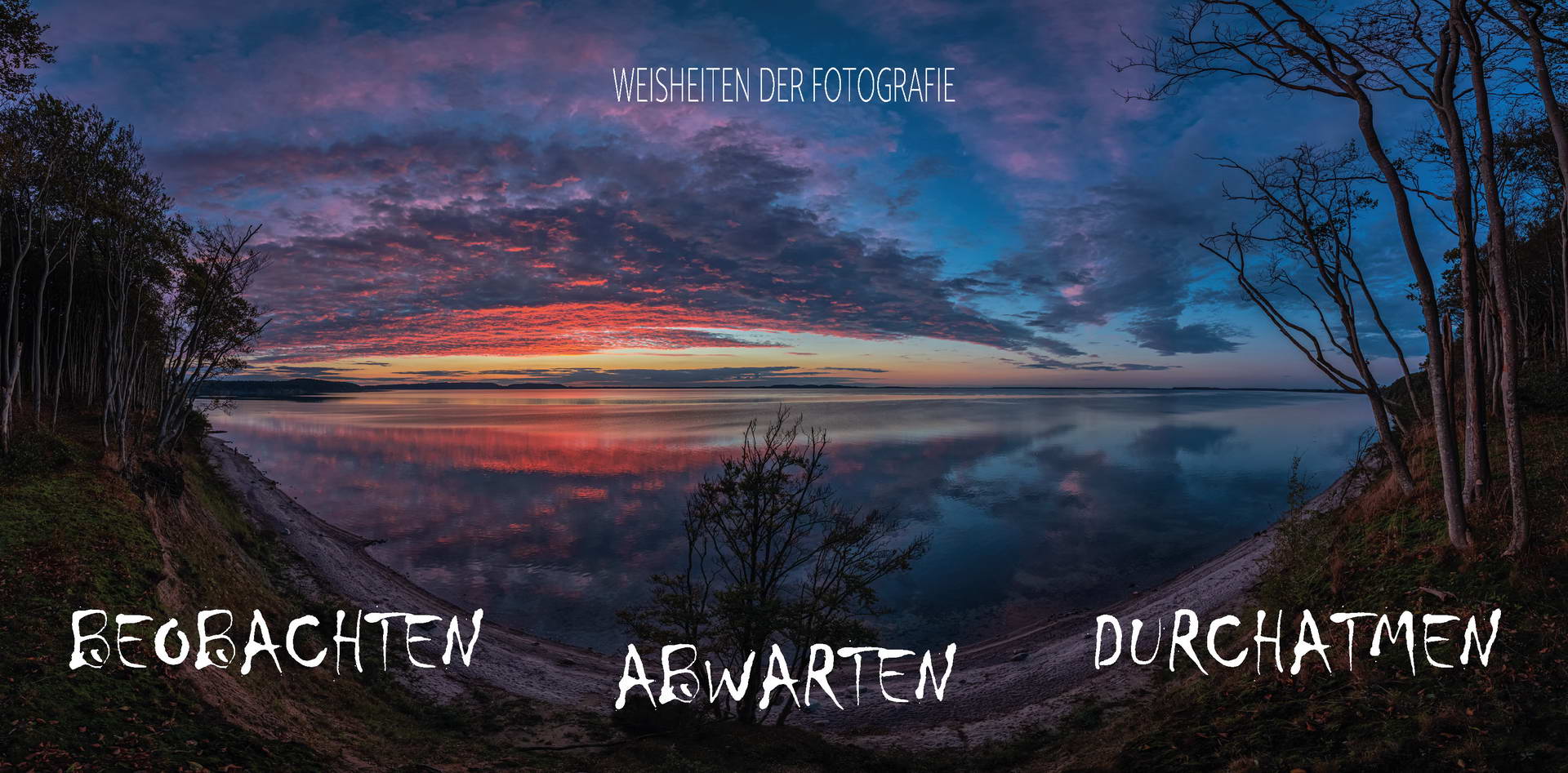 Weis001 - Beobachten - Abwarten - Durchatmen