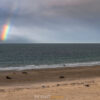 10.12. - 14.12.2025 - Insel Helgoland | Neues Leben – Bild 7