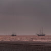 30.08. - 06.09.2025 | Insel Amrum – Bild 2