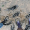 30.08. - 06.09.2025 | Insel Amrum – Bild 7