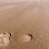 30.08. - 06.09.2025 | Insel Amrum – Bild 5