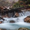 27.09. - 04.10.2025 - Kärnten-Slowenien | Natur verbindet – Bild 9